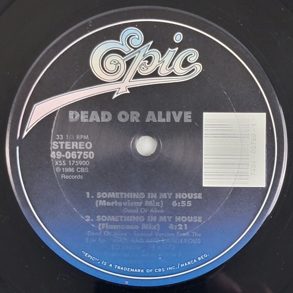 Dead or Alive Something In My House Vinyl - Epic Records 1986 - Picture 5 of 9